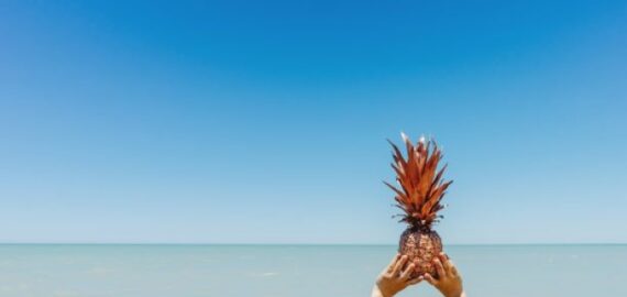 Successful candidates, December 2017 – May/June 2018