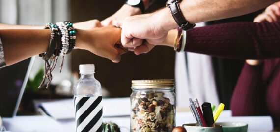 Courses for adults & professionals